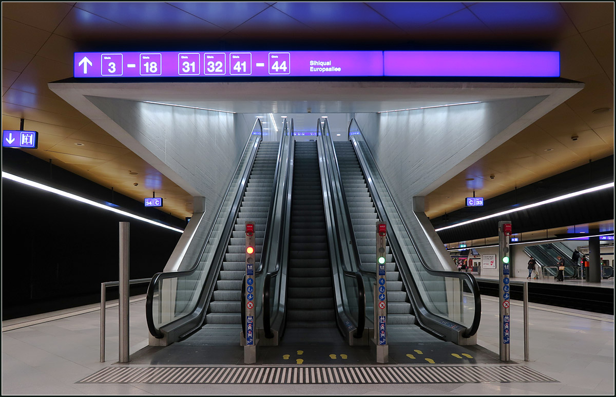 Zürichs unterirdische Bahnhöfe -

Bahnhof Löwenstraße des Züricher Hauptbahnhofes mit Rolltreppenanlage.

14.03.2019 (M)