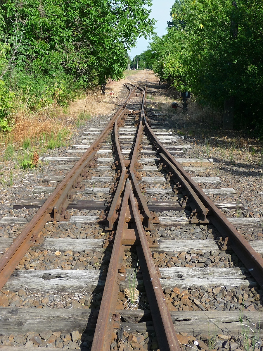 Zufahrt aus dem Bahnhof Balsa zum Gleisdreieck der 2009 stillgelegten Schmalspurstrecke von Nyiregyhaza nach Dombrad und Balsa, 29. ‎Mai ‎2016 