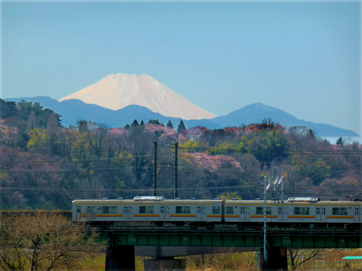 Zug 205-100 auf der Tamagawa-Brücke im Westen von Tokyo. Mit dem frühlingshaften Berg Fuji. 31.März 2014    NAMBU-LINIE