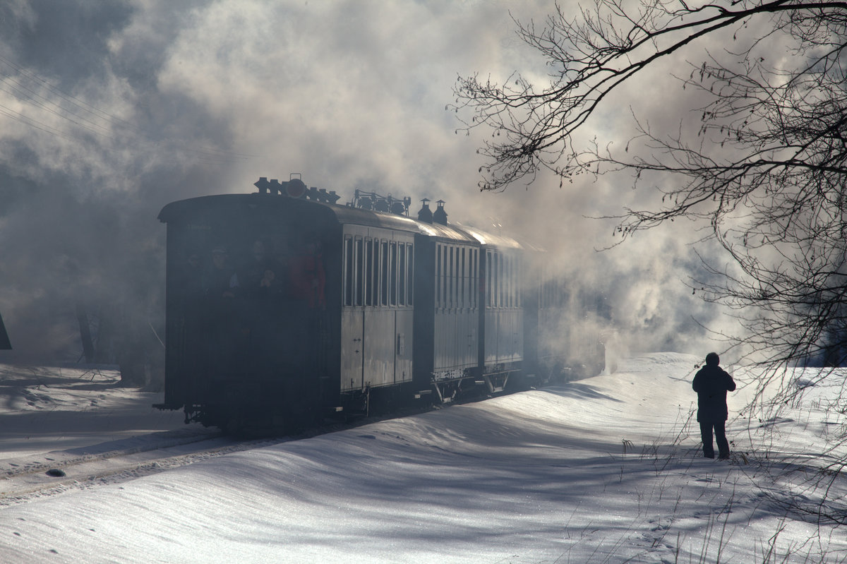 ...Zug verschwindet im Winterdampf. 04.02.2017 bei Schlösselmühle 11:39 Uhr.