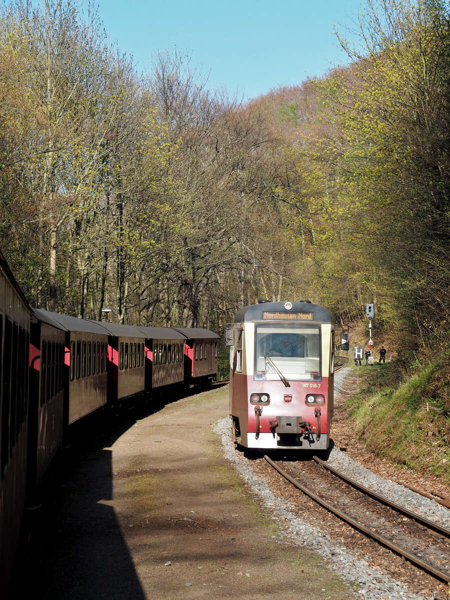 Zugbegegnung der HSB zwischen einem Zug vom Brocken talwärts mit dem Triebwagen 187 018 Richtung Nordhausen im Bahnhof  Steinerne Renne .
Im Hintergrund zu sehen einige Fotographen am Signal.

Wernigerode, der 30.4.2023