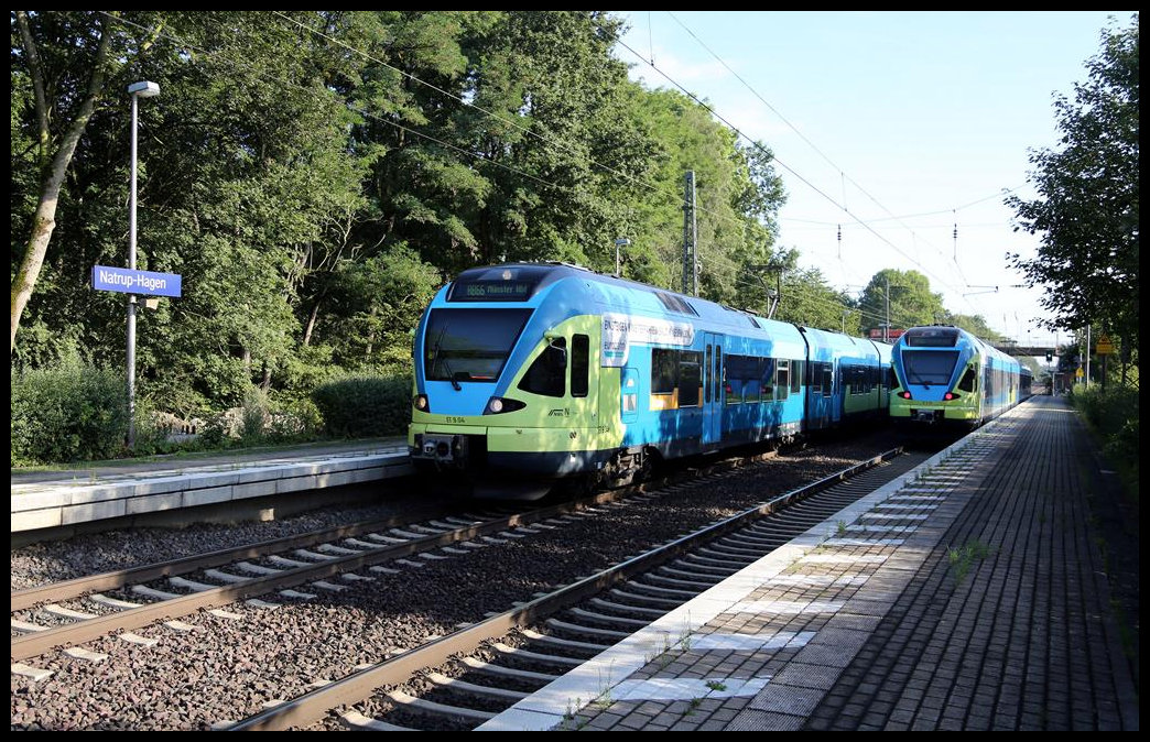 Zugkreuzung zweier Eurobahn Triebwagen am 16.08.2019 um 9.01 Uhr im Bahnhof Natrup Hagen.
Links fährt ET 9.04 nach Münster und recht ist ET 9.05 nach Osnabrück unterwegs.