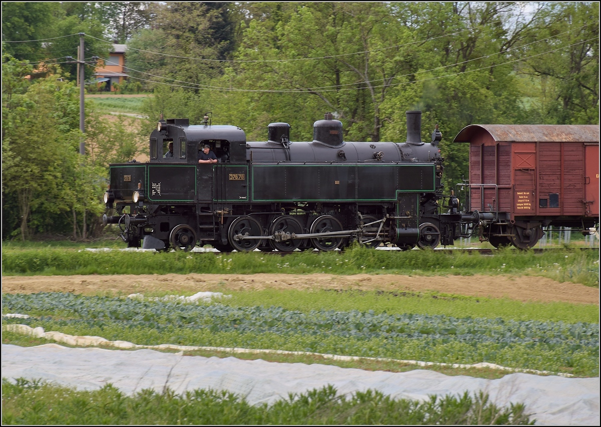 Zum Abschied der 93 beim Kanderli im Archiv gekramt - seit dieser Woche ist 378.78 in die Pfalz weitergewandert, nachdem sie 20 Jahre treue Dienste im Kandertal geleistet hat. Hinter den Gemüsefeldern bei Binzen, Mai 2018.