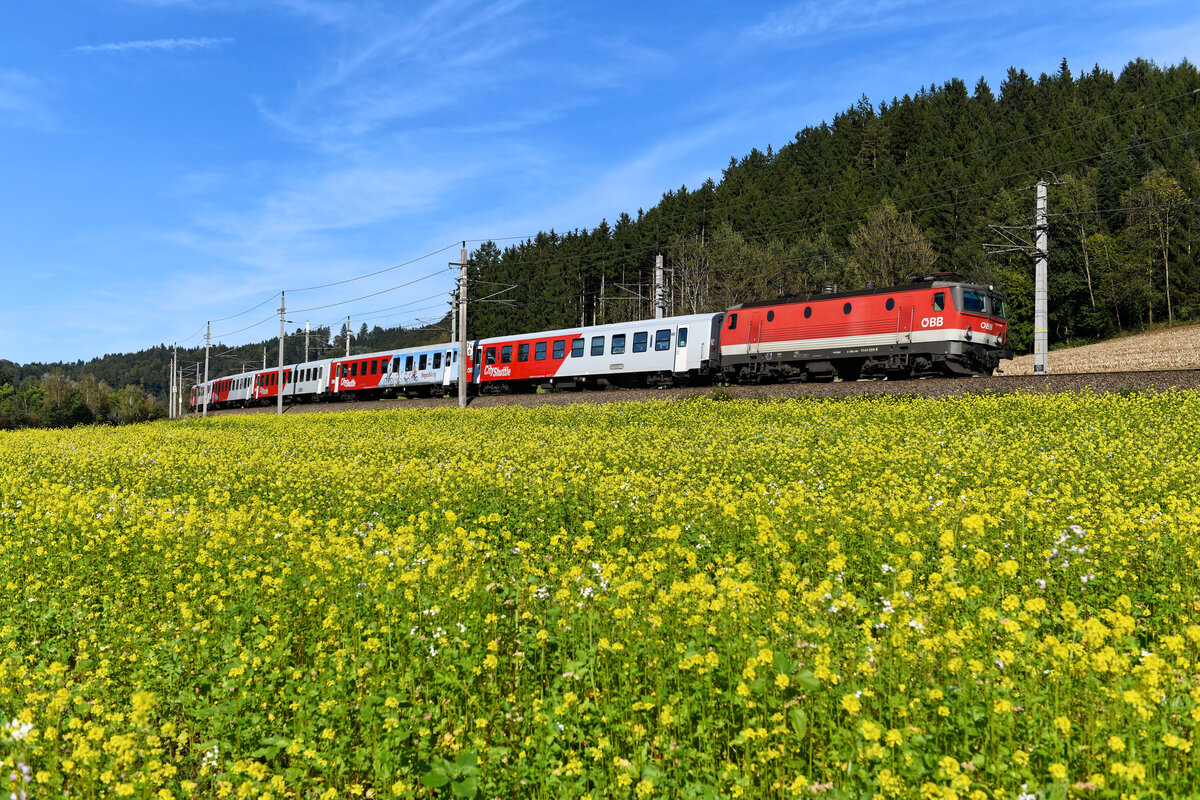 Zum Aufnahmezeitpunkt hat die 1144.009 bereits 43 Dienstjahre absolviert. Am 03. Oktober 2021 bespannte sie den REX 1783 von Passau nach Linz an der Donau. Bei Schardenberg passierte der Zug ein blühendes Senffeld. 