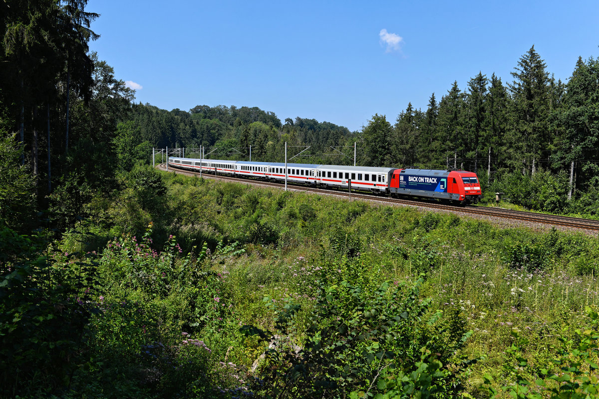 Zum Aufnahmezeitpunkt warb die 101 068 für ein sogenanntes  Greentech Festival  in Berlin, bei dem die DB als Mobilitätspartner in Erscheinung trat. Dies unter dem Slogen  Back on Track . Am 07. August 2020 war die Lok für die Beförderung des EC 218 aus Graz eingeteilt. Im Waldstück zwischen Aßling und Grafing machte ich einen Nachschuß auf den geschobenen Fernverkehrszug.  