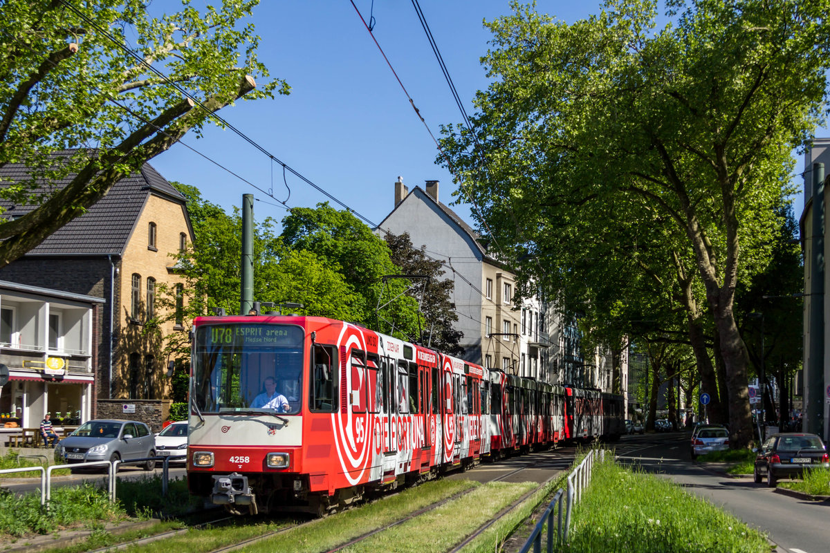 Zum Aufstieg von Fortuna Düsseldorf in die 1. Bundesliga hat die Rheinbahn kurzfristig dem B-Wagen 4258 eine spezielle Beklebung verpasst. Zum Spiel gegen Holstein Kiel am 6. Mai 2018 fuhr dieser Wagen dann erstmals mit den beiden anderen Fortuna-Wagen 4257 und 4253 auf der Linie U78 die Fans zum Stadion.

Hier konnte ich ihn auf der Kaiserswerther Straße in Düsseldorf-Golzheim auf dem Weg zur Arena ablichten.