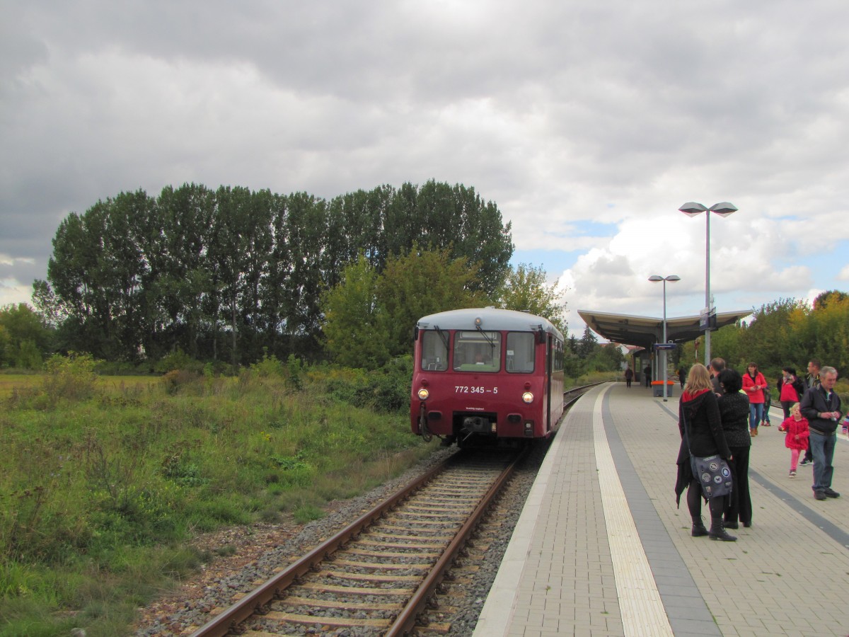 Zum Bahnhofsfest des Finnebahnvereins am 27.09.2015 in Laucha (Unstrut), verkehrte das  Ferkeltaxi  772 345-5 der EBS als Sonderzug zwischen Karsdorf und Freyburg (Unstrut).
