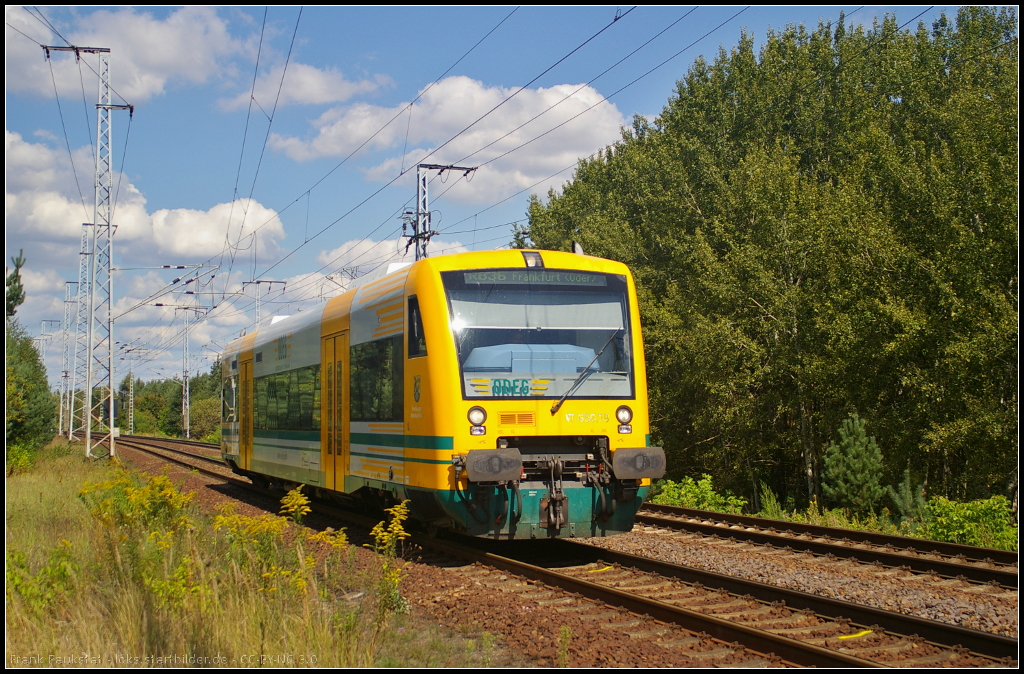 Zum Fahrplanwechsel 2014/15 fallen sie weg: ODEG VT 650.75 / 650 075 als RB36 Frankfurt (Oder) am 28.08.2014 durch die Berliner Wuhlheide