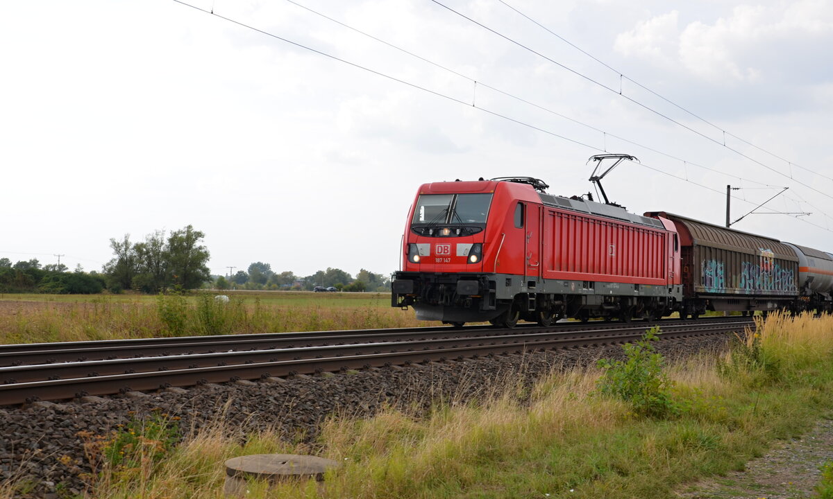 Zur Abwechslung darf die DB auch mal einen Güterzug auf der Strecke zwischen Ansbach und Gunzenhausen fahren. 187-147-4 fährt mit einem gemischtem Güterzug in Richtung Treuchtlingen. (26.08.2022)