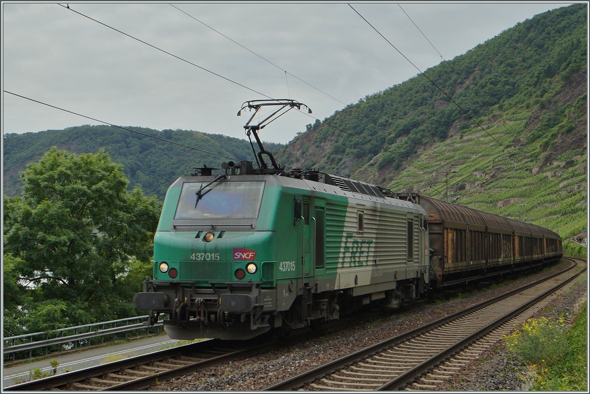 Zur Feier des Tages: Ein  Fretchen  (BB 37 015) im Moseltal. 
20. Juni 2014 