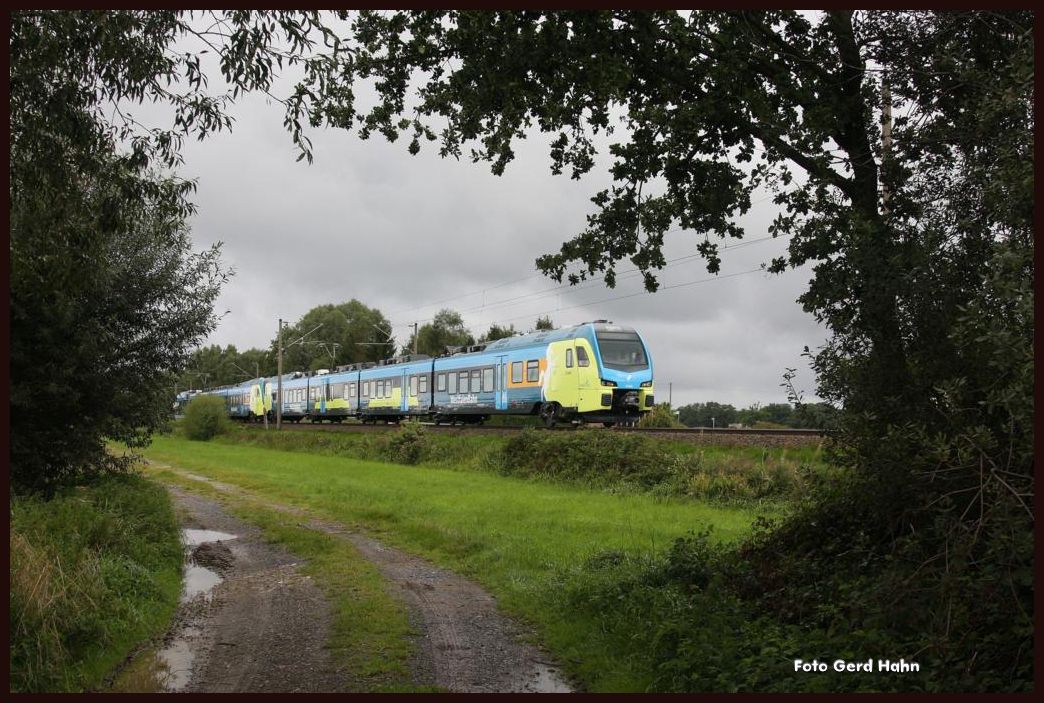 Zur Zeit sind die für die Emslandstrecke vorgesehenen neuen Flirt Triebwagen auch auf der KBS 375 zwischen Bad Bentheim und Bielefeld im Einsatz. Am 7.9.2015 kam mir ET 404 sogar als neue Doppeleinheit auf der Fahrt nach Bielefeld bei Wissingen vor die Kamera. 