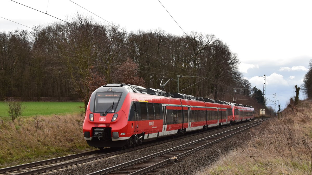 Zwei 442er auf dem Weg gen Gießen kurz vor Kirch-Göns. Aufgenommen am 9.3.2019 10:49