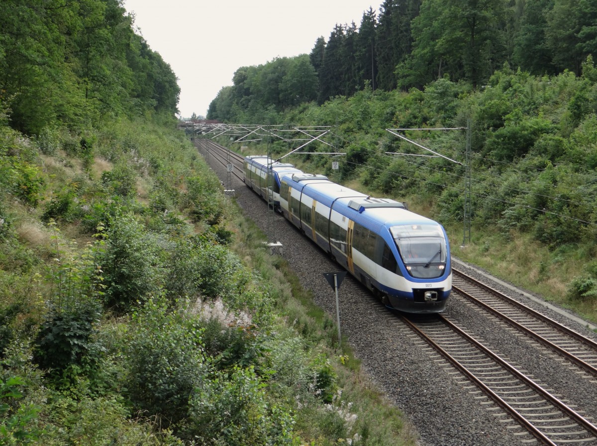 Zwei 643er der OLA bei einer Überführung von Regensburg nach Delitzsch am 07.08.14. Hier zu sehen in Jössnitz/V