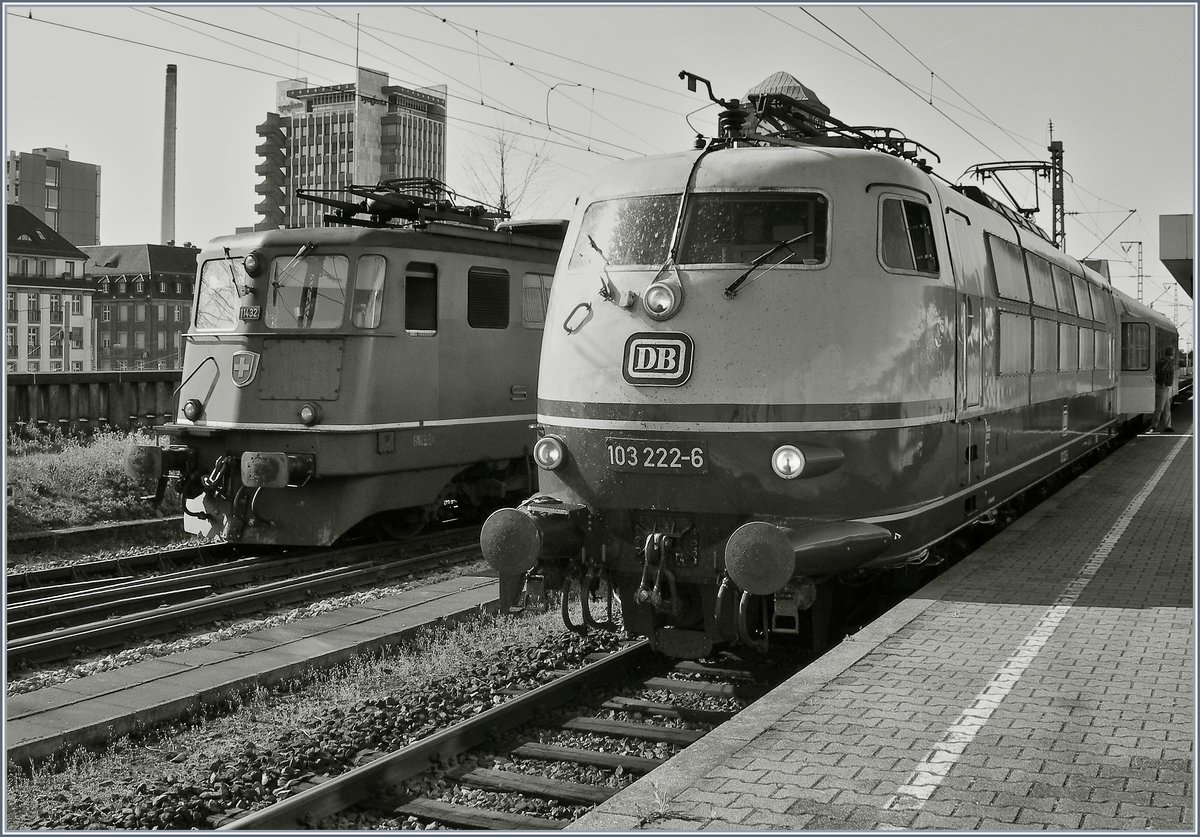 Zwei alte Damen; htten sie jetzt Zeit fr eine Tasse Kaffee, sie htten sich so manchen Kilometer zu erzhlen...
Basel Bad Bf, den 11. April 2007 