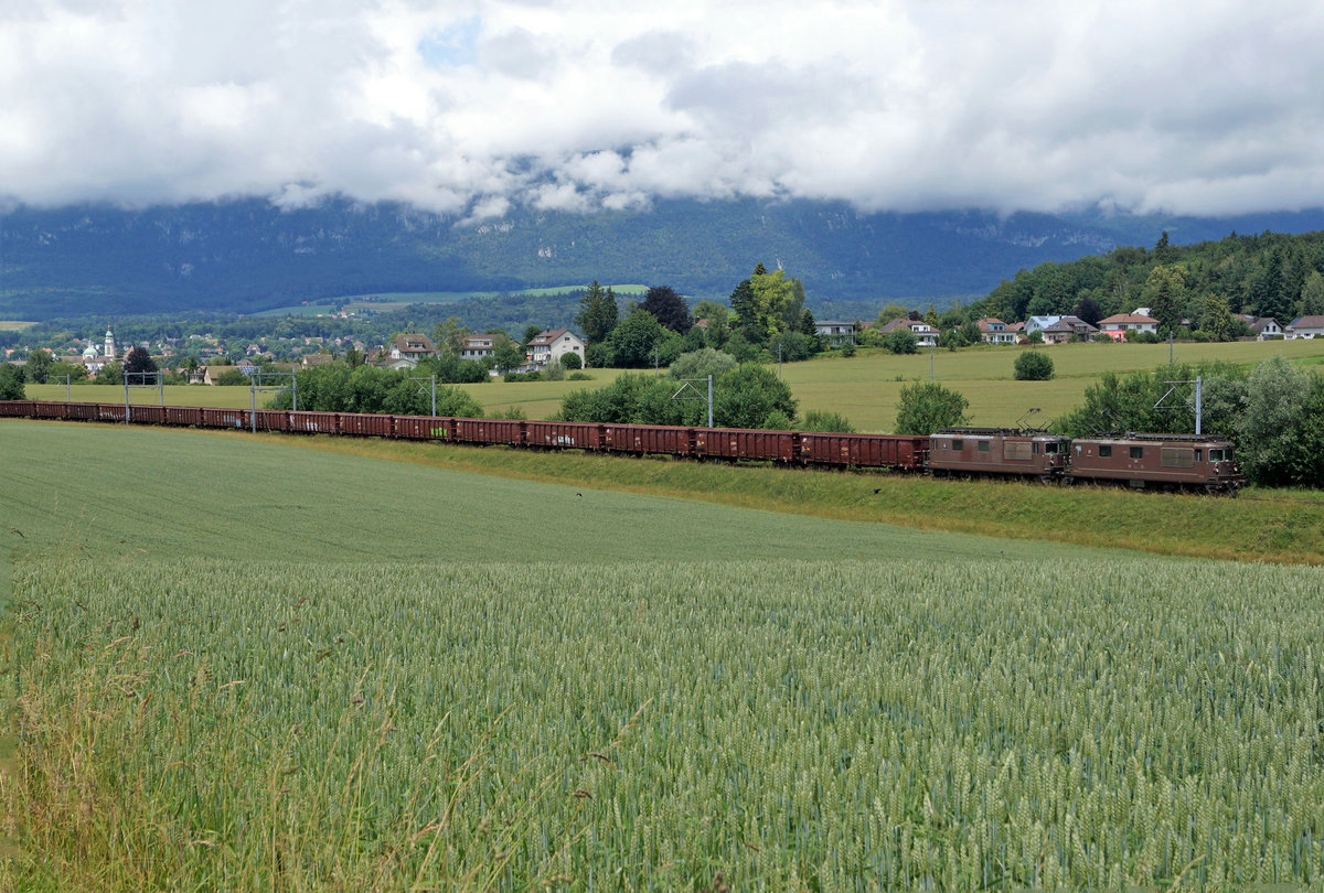 Zwei BLS Re 425 brachten am 19. Juni 2020 einen langen Güterzug von Domodossola nach Gerlafingen.
Erlegt wurde er zwischen Solothurn und Biberist.
Foto: Walter Ruetsch