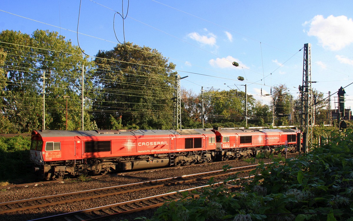 Zwei Class 66 DE6308  Anja  und die DE6310  Griet  beide von Crossrail stehen auf dem Abstellgleis in Aachen-West. Aufgenommen von der Bärenstrasse in Aachen bei schönem Herbstwetter am Nachmittag vom 19.10.2014.