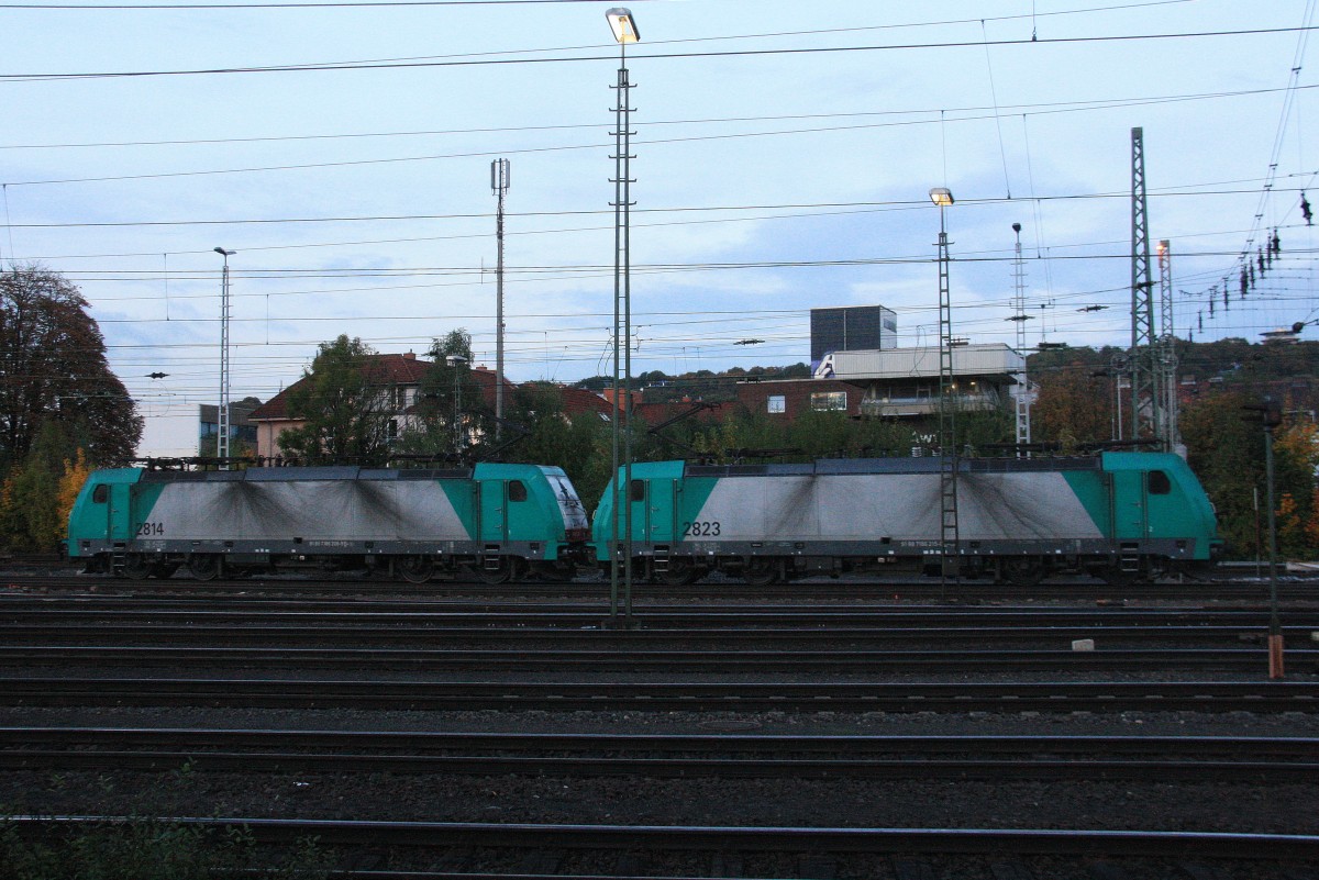 Zwei Cobra 2814 und 2823 kommen als Lokzug aus Belgien und fahren in Aachen-West.
Aufgenommen vom Bahnsteig in Aachen-West in der Abendstimmung am Abend vom 18.10.2013.