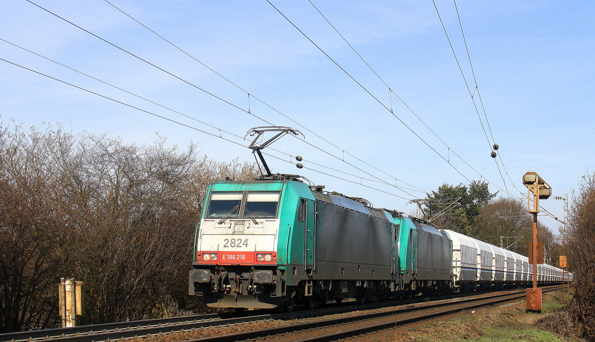 Zwei Cobra 2824 und 2831 kommen die Gemmenicher-Rampe hochgefahren aus Richtung Aachen-West mit einem langen Kalkleerzug aus Millingen(D) nach Yves-Gomezee(B)  und fahren in Richtung Gemmenicher-Tunnel,Botzelaer(B),Gemmenich(B),Nouvelaer(B),Moresnet(B),Moresnet-Chapelle(B),Montzen(B). 
Aufgenommen an der Montzenroute am Gemmenicher-Weg. 
Bei schönem Frühlingswetter am Nachmittag vom 26.3.2016.