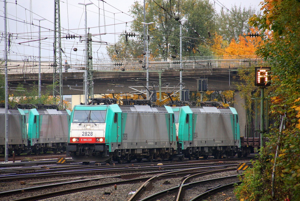 Zwei Cobra 2828 und 2834 kommen aus Richtung Köln,Aachen-Hbf,Aachen-Schanz mit einem langen gemischten Güterzug aus  Köln-Gremberg nach Antwerpen-Noord(B) und fährt in Aachen-West ein. 
Aufgenommen vom Bahnsteig in Aachen-West.
Bei Regenwolken am 25.10.2015.