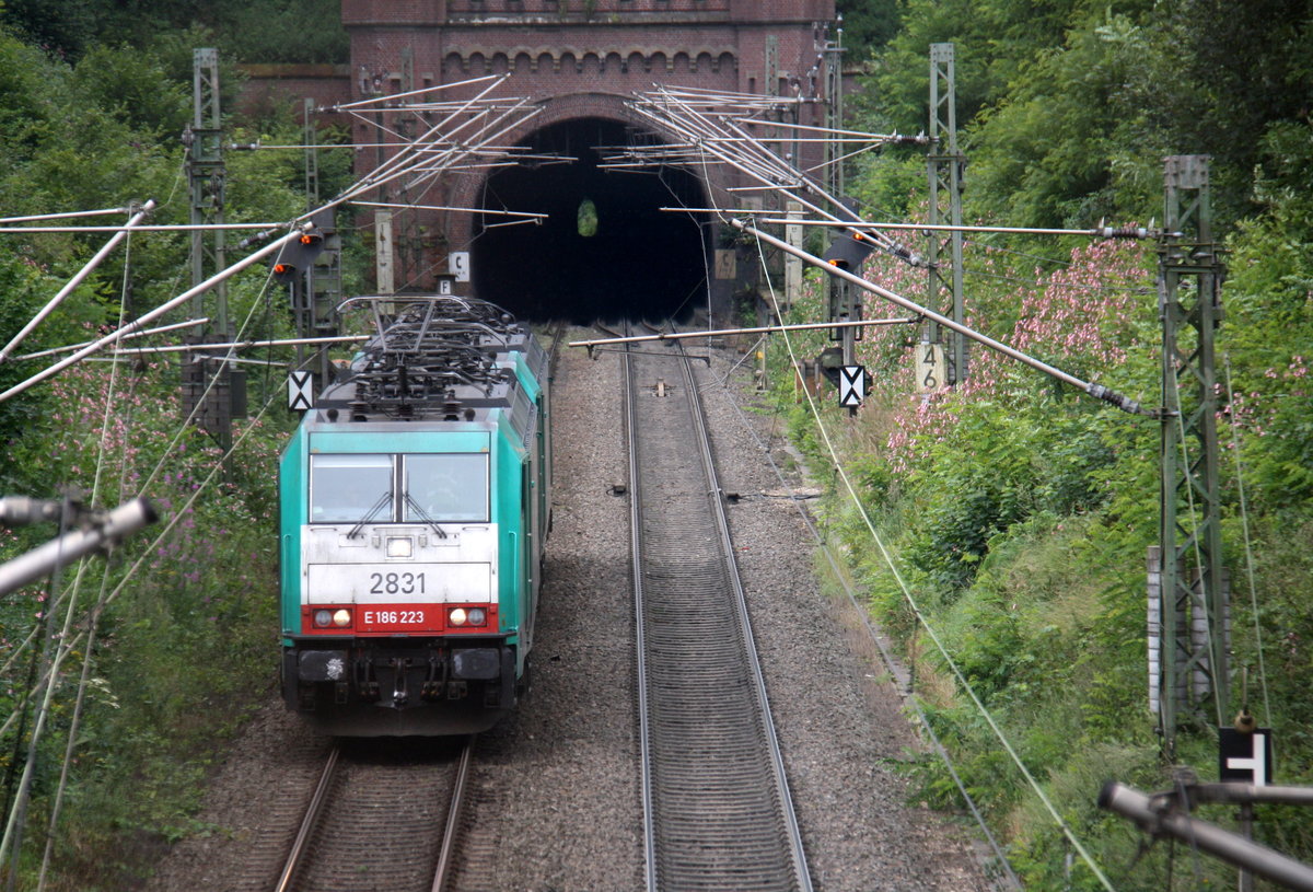 Zwei Cobra 2831 und 2828 kommen als Lokzug aus Belgien nach Aachen-West und kammen aus dem Gemmenicher-Tunnel und fahren Gemmenicher-Rampe herunter nach Aachen-West. Aufgenommen bei Reinartzkehl an der Montzenroute.
Am Mittag vom 11.8.2016.