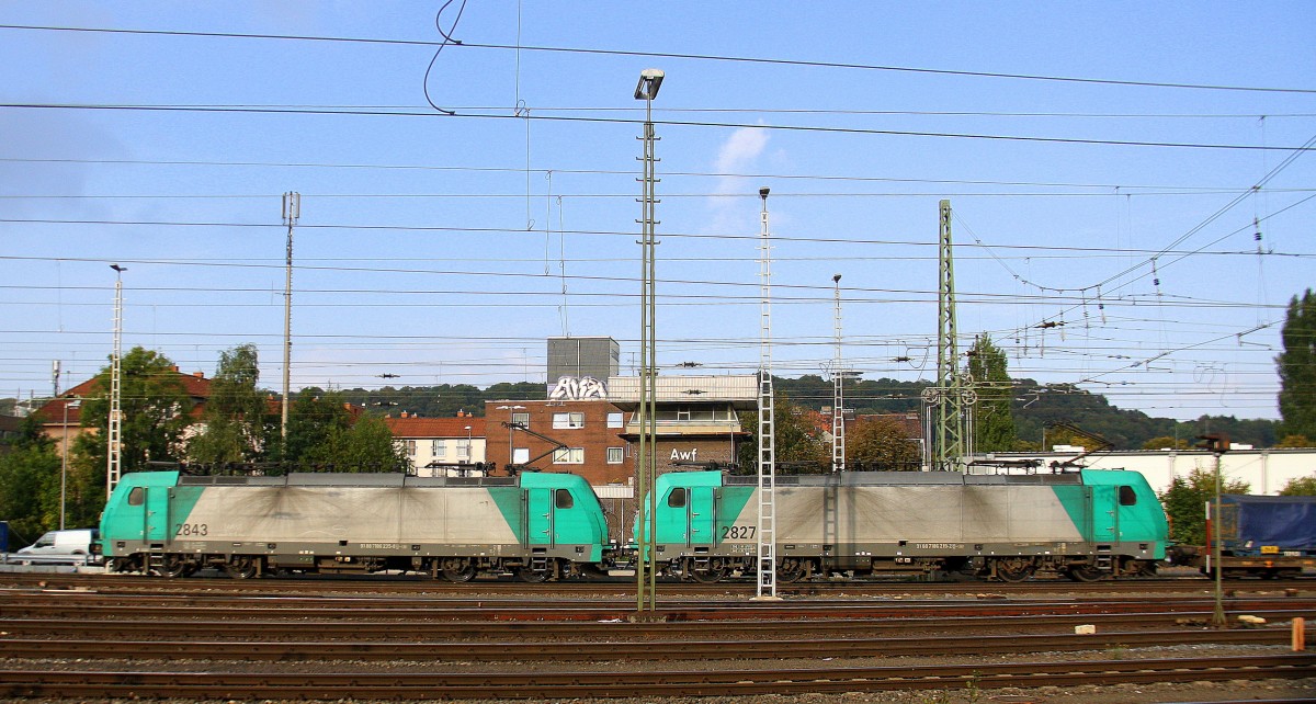 Zwei Cobra 2843 und 2827 kommen aus Richtung Köln,Aachen-Hbf mit einem langen Containerzug aus Genk-Zuid-Haven(B) nach Gallarate(I) und fahren in Aachen-West ein.
Aufgenommen vom Bahnsteig in Aachen-West bei schönem Sonnenschein am 22.9.2014. 