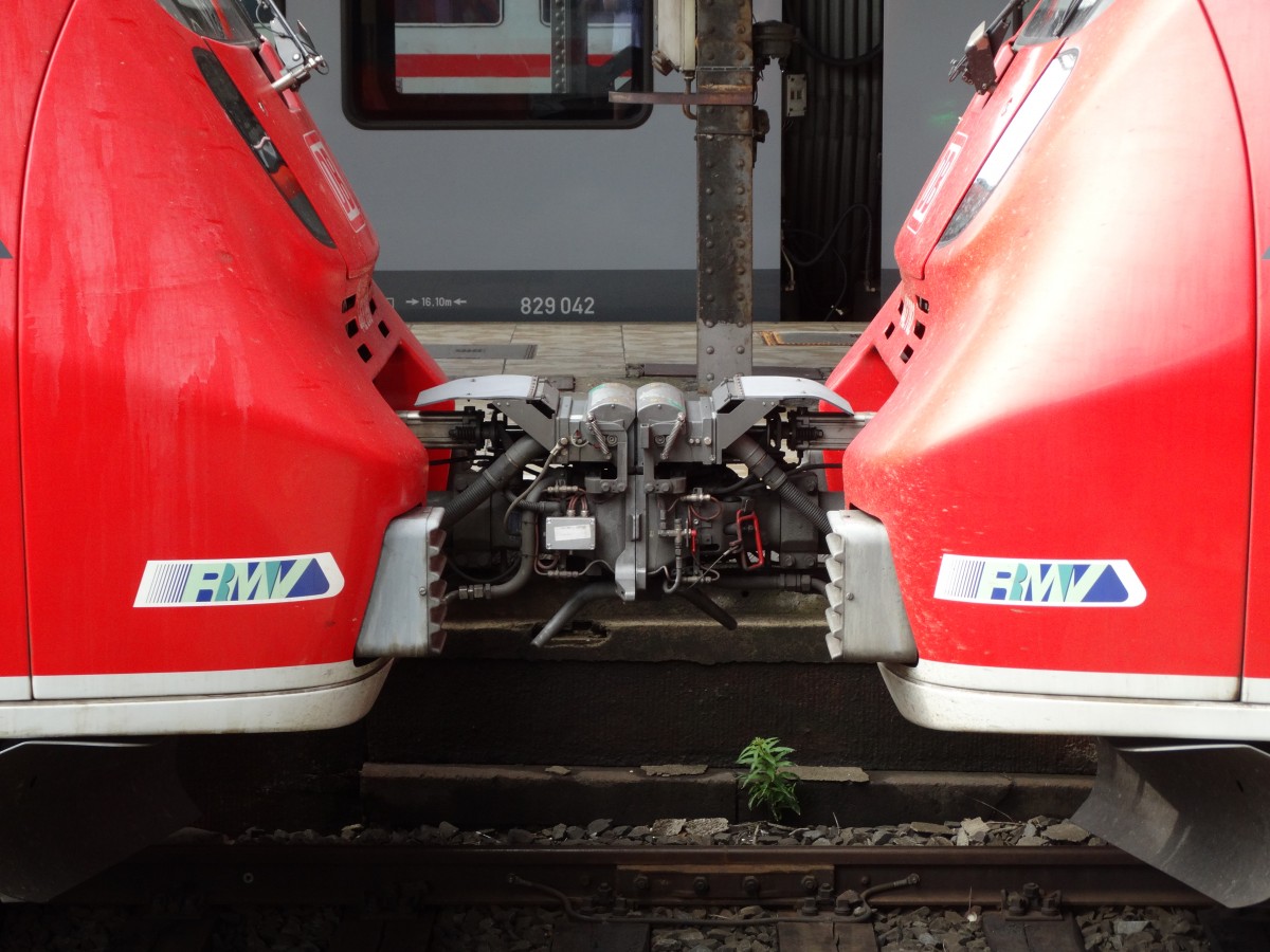 Zwei DB Regio Bombardier Talent 2 442 alias Hamster gekuppelt am 20.08.15 in Frankfurt am Main 