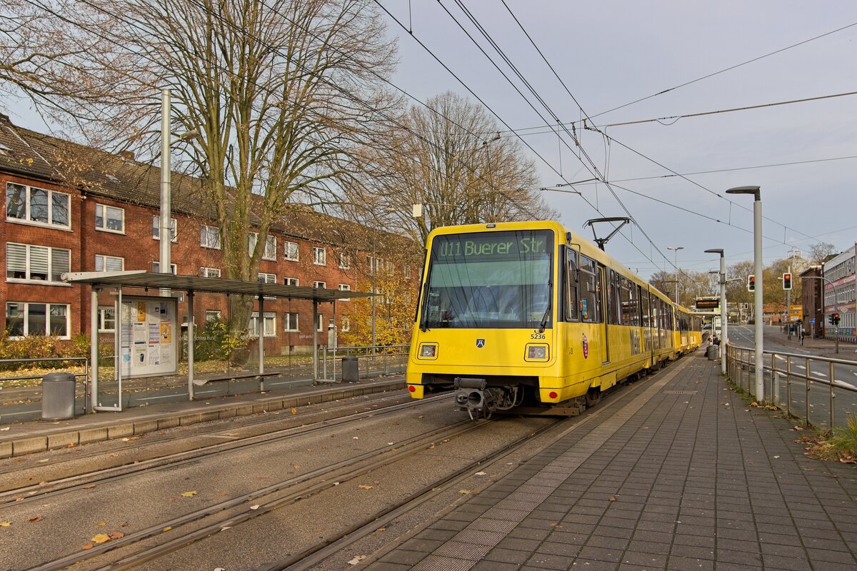 Zwei ehemalige Docklands-Wagen durchfahren die niederflurige Haltestelle Schloss Horst (24.11.2024) 