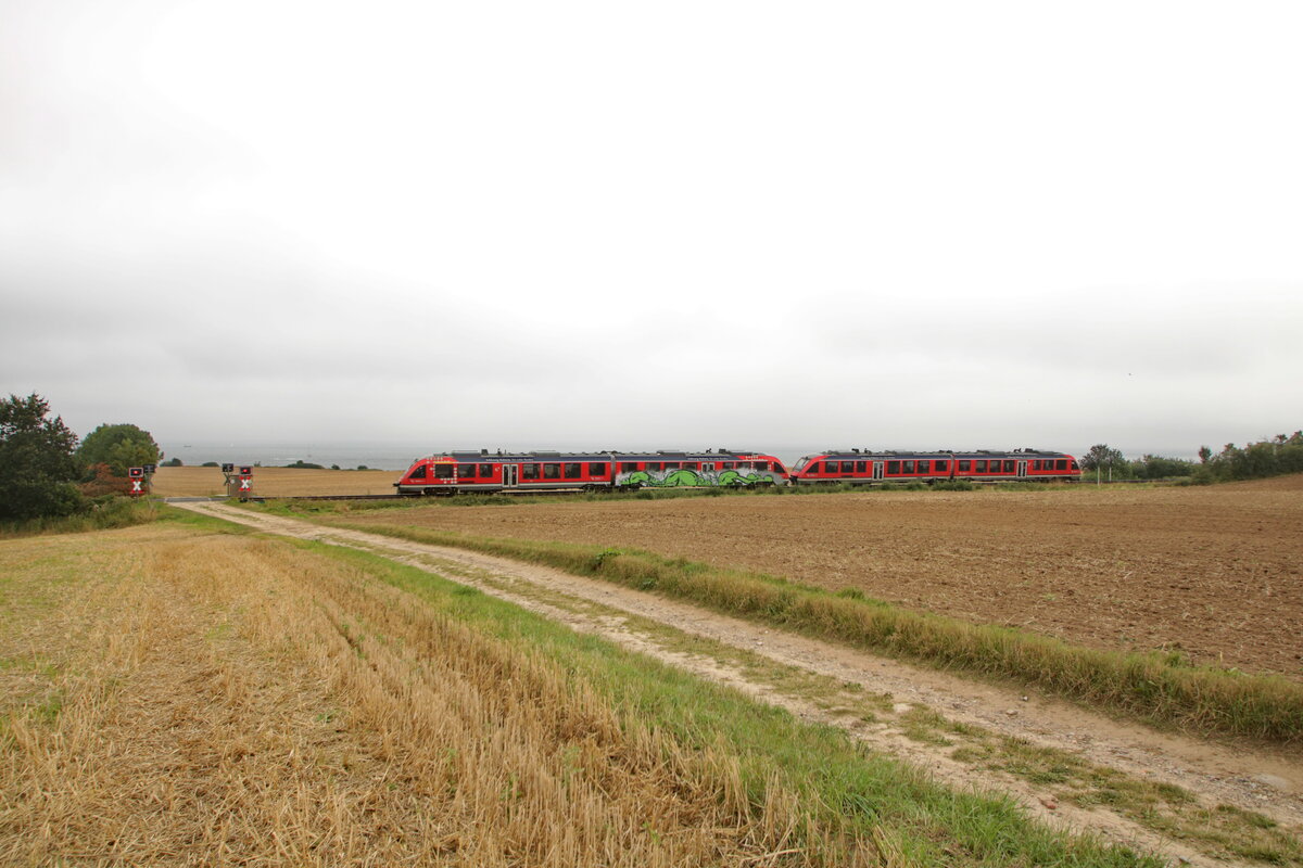 Zwei LINT Triebwagen auf ihrer Fahrt entlang der schönen ostholsteinischen Ostseeküste kurz vor Neustadt am bekannten BÜ Ostseeblick, im nahen Neustädter Gbf wird der Zug geteilt, für die fordere Einheit geht es weiter entlang der Vogelfluglinie nach Puttgarden während die hintere Einheit in den  Keller , den Neustädter Personenbahnhof fährt
August 2022