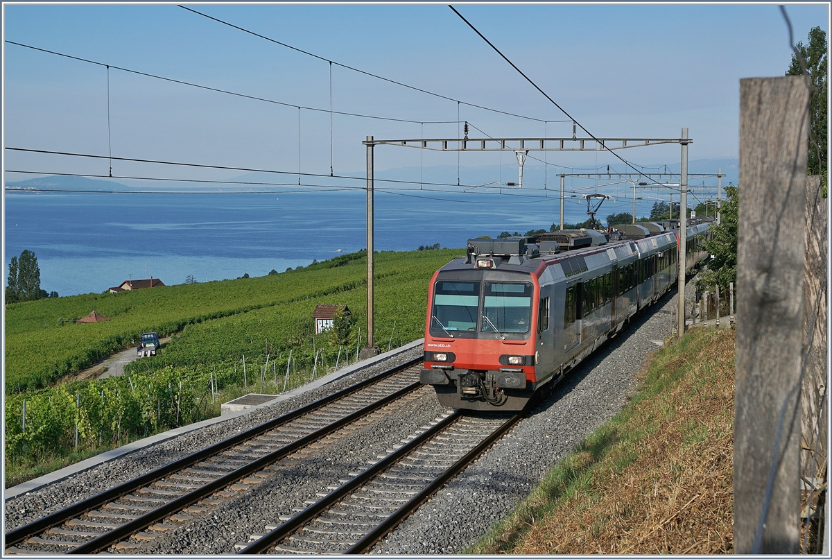 Zwei SBB RBDe 560  Domino  Züge zwischen La Conversion und Bossière als S4 24419 von Allaman nach Palézieux unterwegs. 

14. Juli 2020