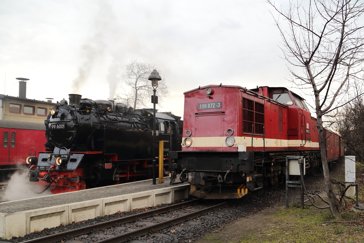 Zwei Traktionsgenerationen am Morgen des 07.02.2016 im Bahnhof Wernigerode. Links auf Gleis 33 wartet Dampflok 99 6001 mit einem IG HSB-Sonderzug auf die Freigabe zur Ausfahrt nach Eisfelder Talmühle, rechts auf Gleis 34 hat Diesellok 199 872 gerade einen Brockenzug bereitgestellt. 