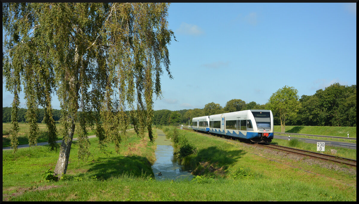 Zwei Triebwagen der Baureihe 646 der Usedomer Bäderbahn am 02.09.2023 in der Nähe des Niemeyer-Holstein Gedenkateliers auf der Ostseeinsel Usedom. Das Ziel der beiden ist Swinemünde in Polen.
