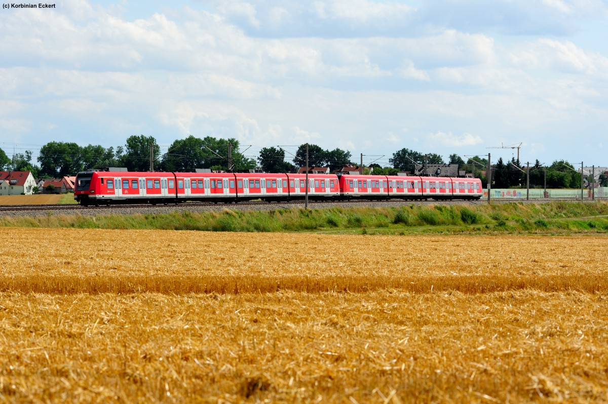 Zwei unbekannte 423 als S 2 6266 von Erding nach Petershausen kurz nach Hebertshausen, 13.08.2013