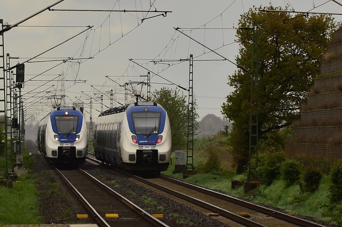 Zweimal Hamster bei Allerheiligen am 24.4.2016 der rechte von Krefeld kommend der Andere fährt nach Krefeld. 
