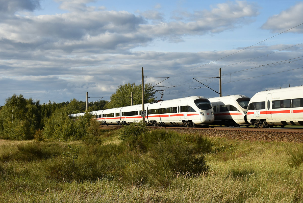 Zweimal ICE-T in Doppeltraktion. ICE-T  Andernach , mit  Plauen/Vogtland  kommend aus Schwerin und ICE-T  Trier , mit  Rödental  kommend aus Hamburg. 3km östlich von Büchen, 25.09.2018.