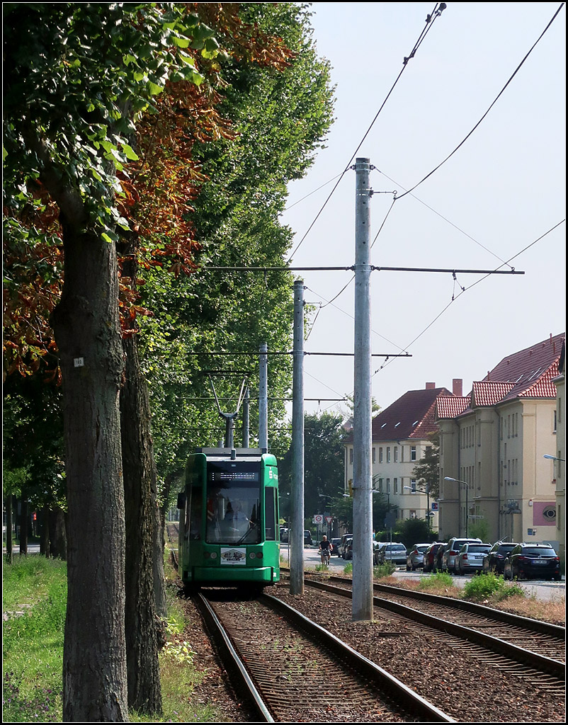 Zwischen Bäumen und Masten -

Eine Flexity Classic-Tram in in der Heidestraße in Dessau-Süd.

26.08.2017 (M)