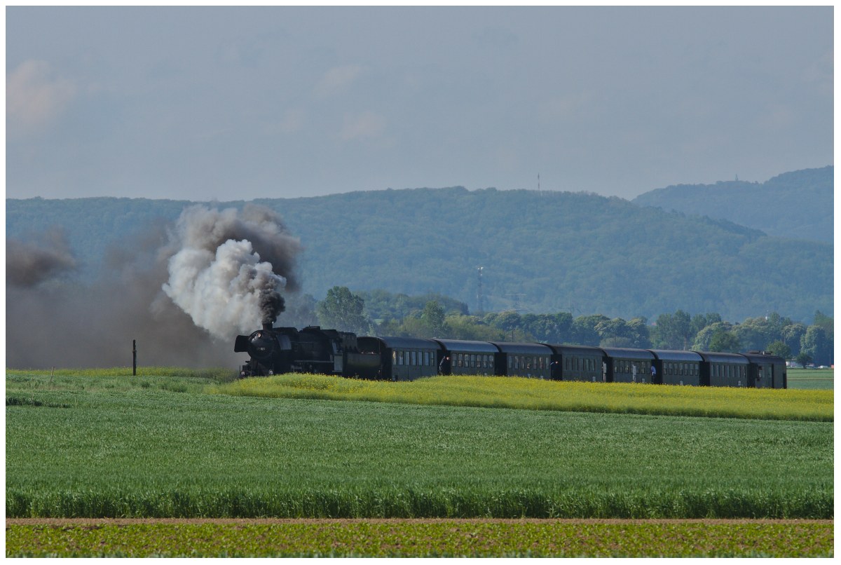 Zwischen den Feldern ist die 52.100 zwischen Harmannsdorf-Rückersdorf und Mollmannsdorf zum Oldtimertreffen in Ernstbrunn unterwegs. (04.05.2014)
