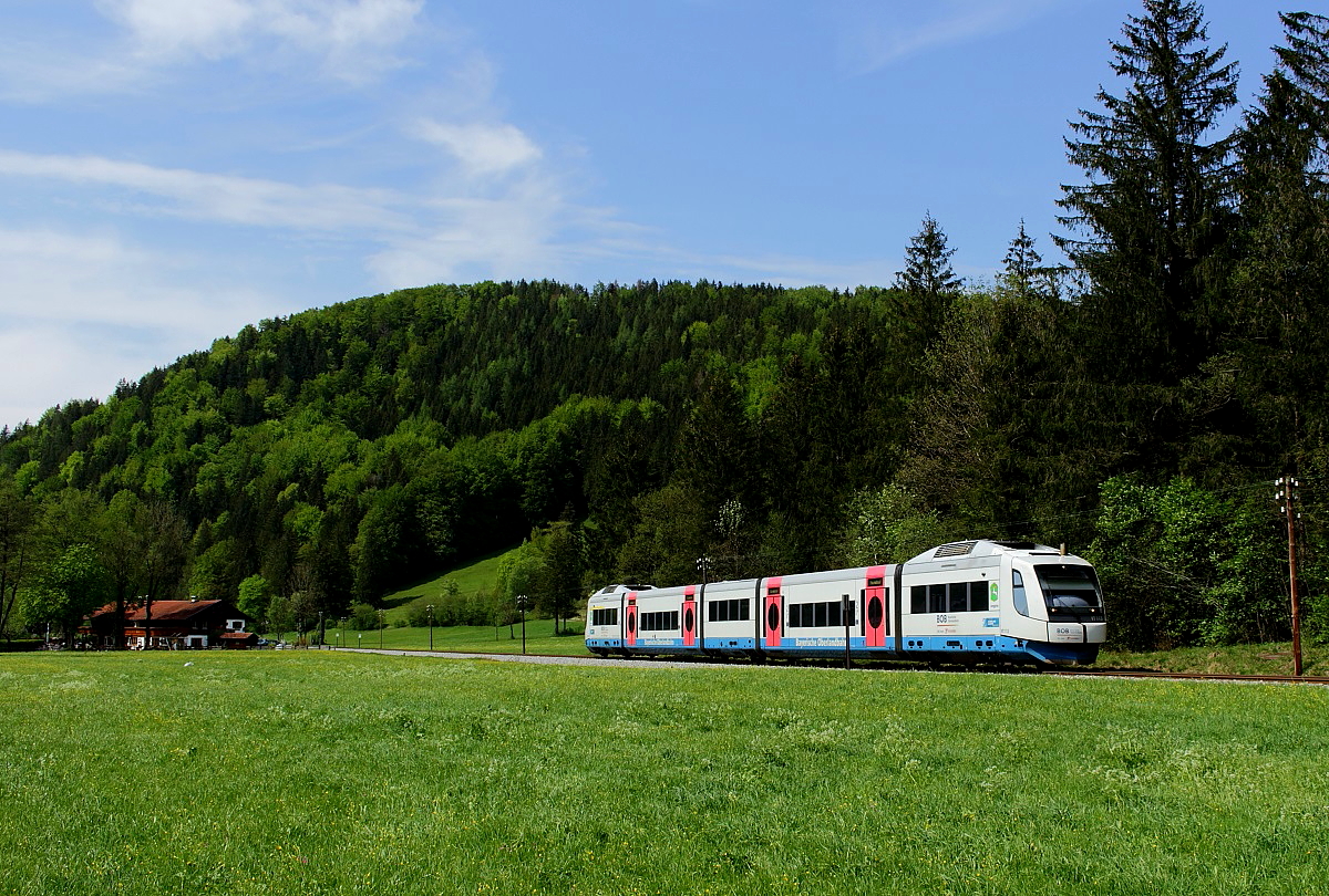 Zwischen Fischbachau und Geitau ist der VT 113 der BOB am 14.05.2016 unterwegs