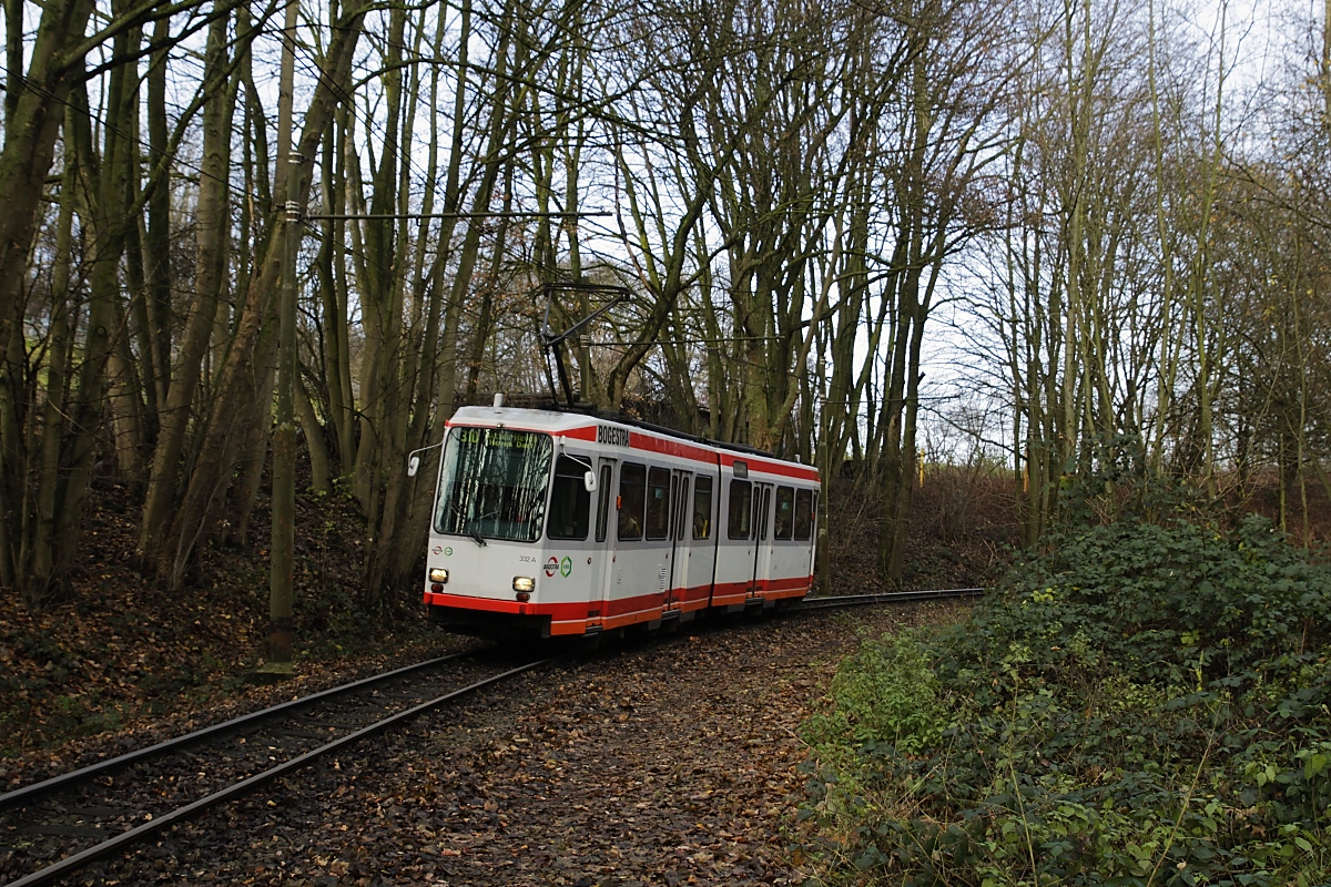 Zwischen den Haltestellen Am Honnengraben und Papenholz durchfährt die Linie 310 ein kleines Waldstück, hier mit dem M6S 332 am 10.12.2019