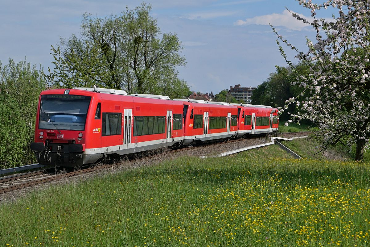 Zwischen Kluftern und Fischbach fahren 650 114, 650 317 und ein unerkannt gebliebener Triebwagen am 01.05.2022 als RB 31 / 17783 von Radolfzell nach Friedrichshafen Stadt