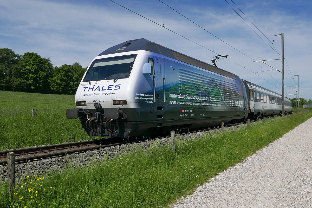 Zwischen Kreuzlingen-Bernrain und Lengwil zieht Re 460 005-2 die Wagen des IR 2118, Konstanz - Zürich, den Seerücken hinauf (22.05.2016).