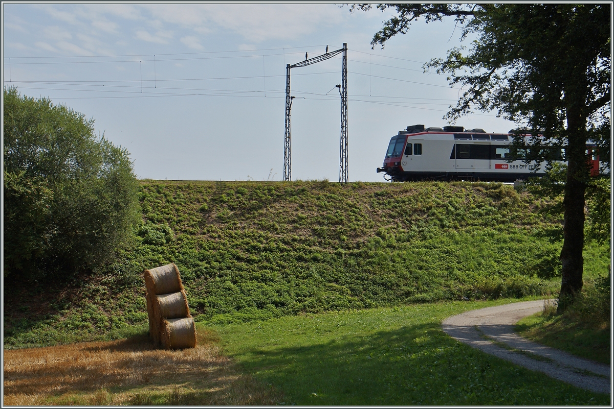 Zwischen Rosé und Neyruz stehen wohl noch die letzten alten, aber sehr filigranen Fahrleitungsmaste zwischen Genève und St.Gallen.
Schon 2012 fürchtet ich, nicht ohne Grund (Link: http://auchdasgehoertdazu.startbilder.de/bild/Schweiz~Technik~Oberleitungen/185198/hier-wird-gerade-das-grab-fuer.html ), dass diese schönen Fahrleitngsmaste rasch verschwinden werden, während sie tatsächlich in den letzten Jahren zwischen Cottens und Neyruz ersetzt wurden, stehen sie zumindest zwischen Neyruz und Rosé wohl noch ein paar Wochen, vielleicht sogar Monate.  
6. August 2015