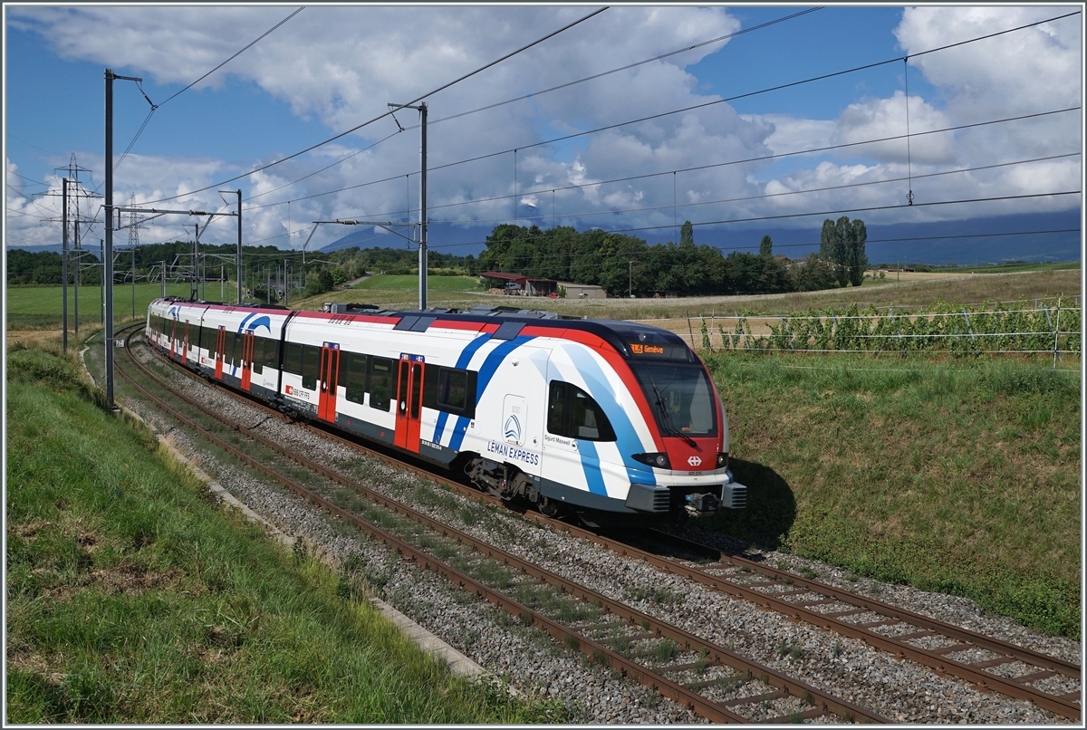 Zwischen Russin und Satigny ist der SBB LEX RABe 522 232 als SL5 Léman Express von La Plaine nach Genève unterwegs. 

2. August 2021