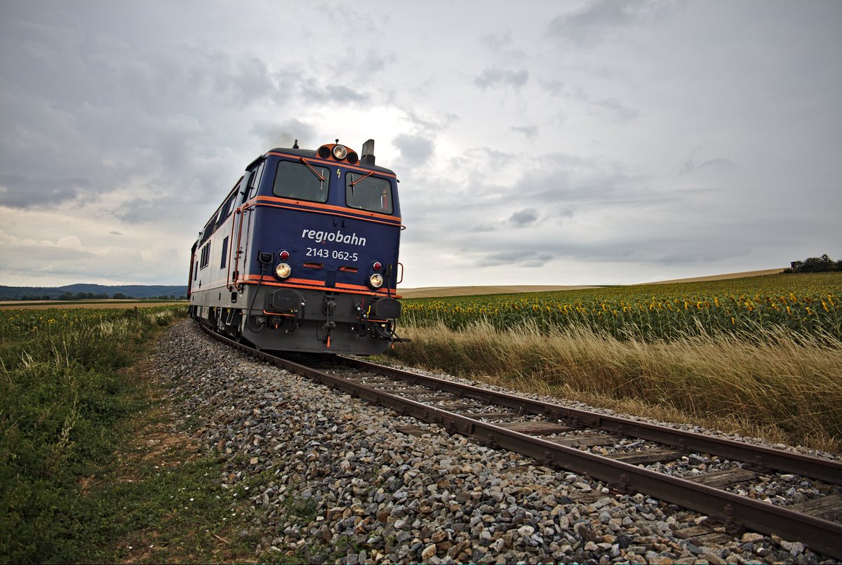 Zwischen Sonnenblumenfeldern fährt die 2143.062 mit dem NEX Leiser Berge gegen Ernstbrunn. Entstanden ist die Aufnahme zwischen Weinsteig und Karnabrunn. (15.07.2017)