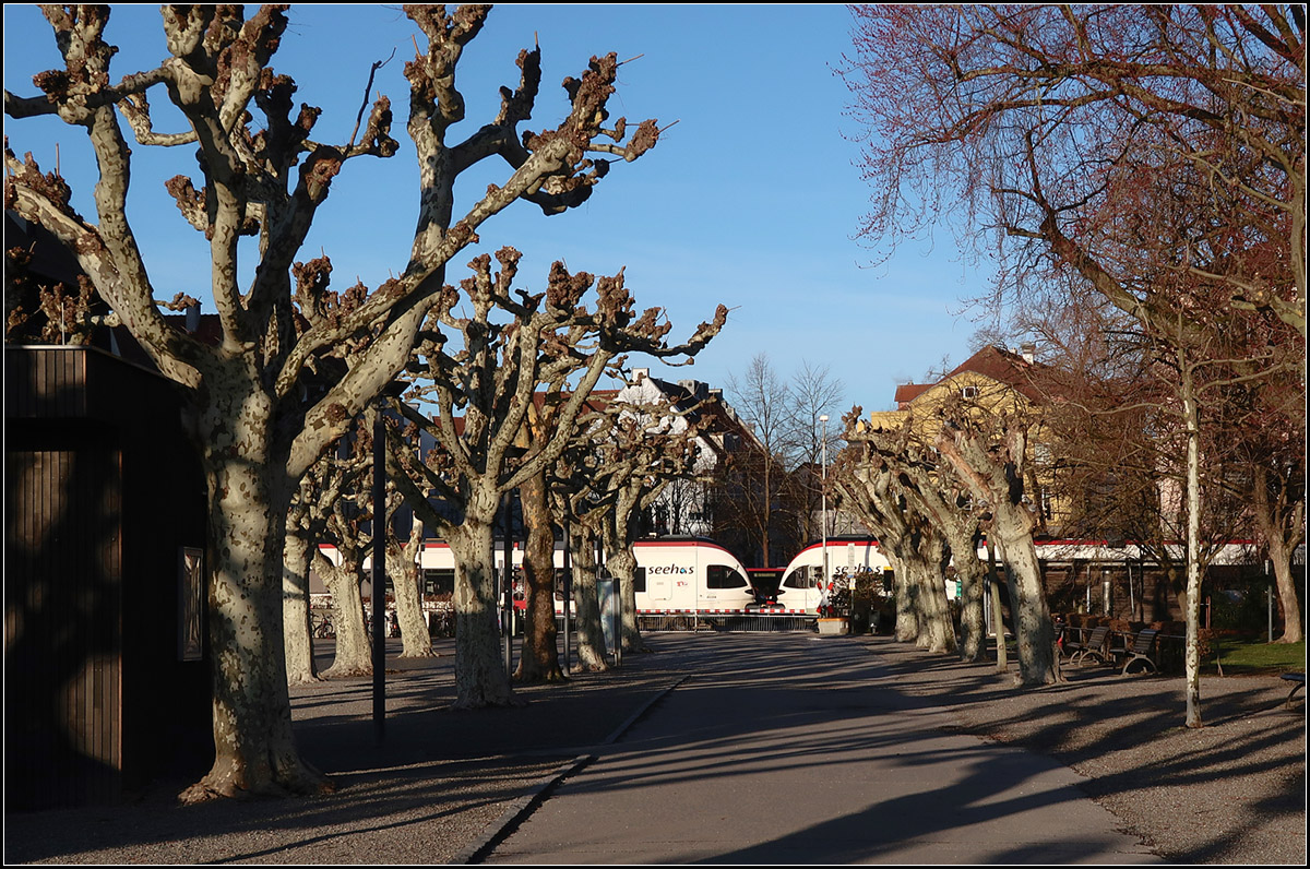 Zwischen Stadtgarten und Altstadt -

... quert eine seehas-Zug aus zwei Flirt-Triebwagen die wichtige Fußgängerverbindung in Konstanz.

12.03.2019 (M)