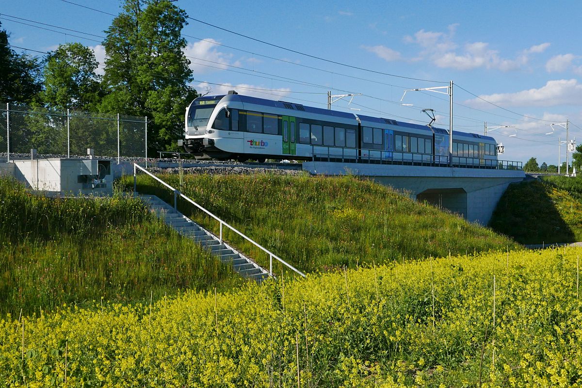 Zwischen den Stationen Kehlhof und Berg (TG) fährt die von Weinfelden kommende S14 25872 mit dem Ziel Konstanz den Seerücken hinauf (31.05.2019).