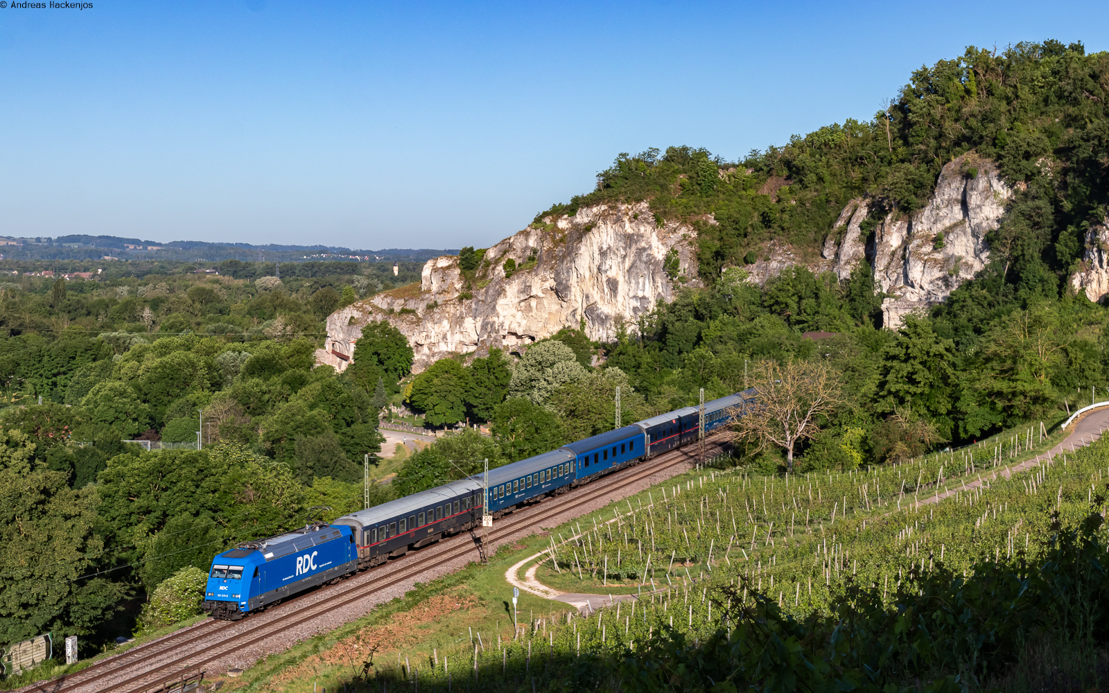 101 031 mit dem NEX 1790 (Hamburg Altona - Lörrach Gbf) bei Istein 30.5.25