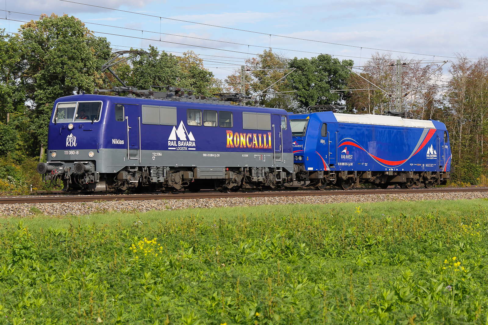 111 080 und 185 531 am 18.9.26 bei Eglharting. Die Roncalli wollte ich schon immer mal h�bsch haben. Umso �rgerlicher das ich sie als LZ in Richtung Freilassing verpasst hatte, aber sie dann einige Stunden sp�ter bei bestem Licht zur�ck kam. Hat die wohl deffekte 185 abgeschleppt !?