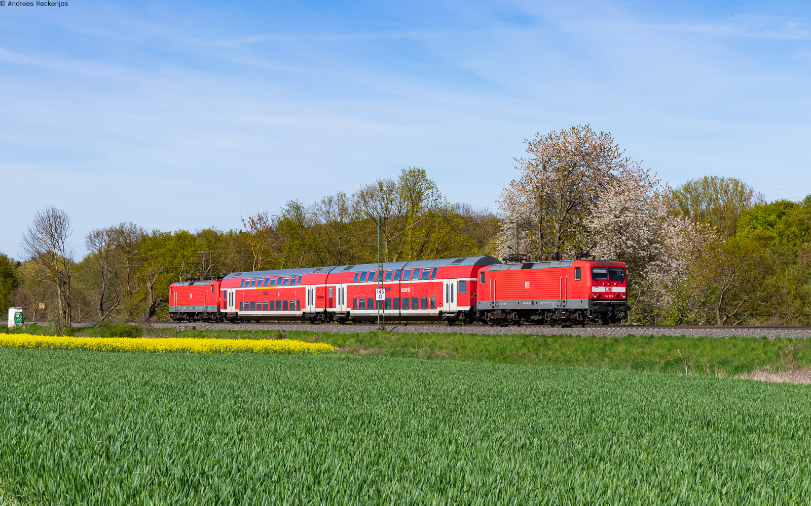 114 029 und 114 022 mit der RB 15091 (Gießen – Hanau Hbf) bei Kirch Göns 3.5.23
