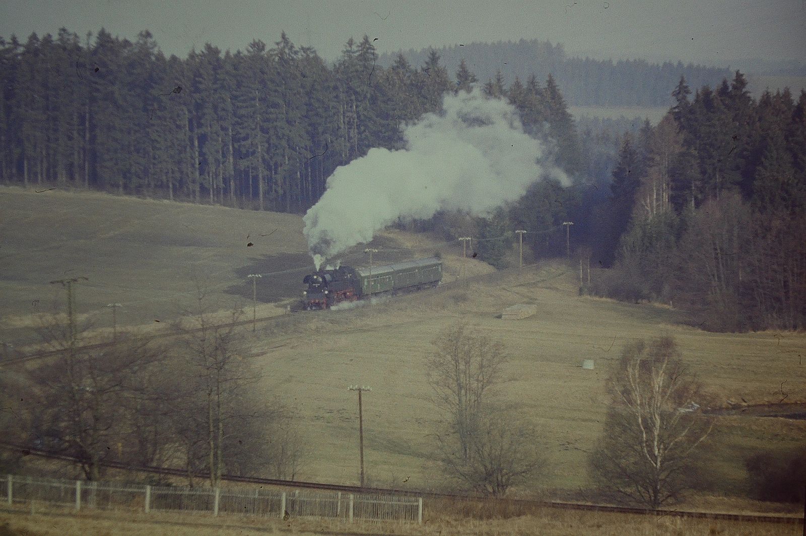 125 (Plandampf im Thüringer Wald Rennsteig & Lobenstein 18.- 21. März 1993 ) 65 1049-9 mit N 15236 Lobenstein - Wurzbach bei Ober-Unterlemnitz