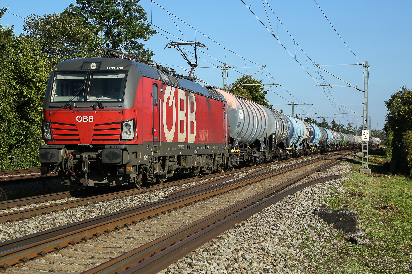 1293 186 von Richtung Rosenheim nach München Ost. Hier wurden neulich die Gleise gewechselt und die alten liegen immer noch fast parallel daneben. 15.09.2023.